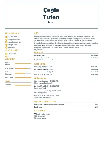 Ebe Cv Örnekleri cv indir